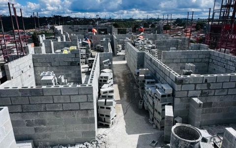 WhatsApp Image 2026-02-12 at 15.17.01